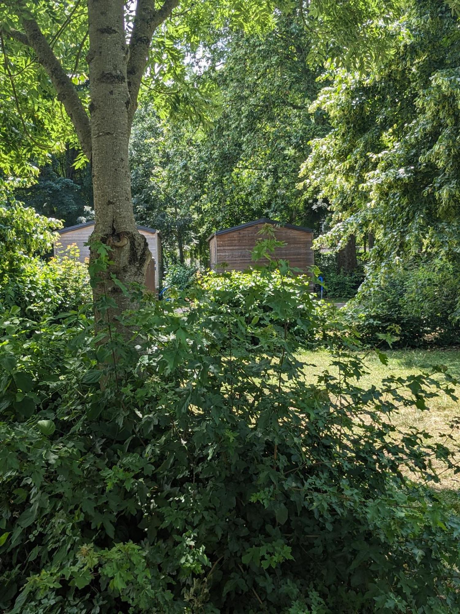 Camping Onlycamp La Confluence Savonnières المظهر الخارجي الصورة